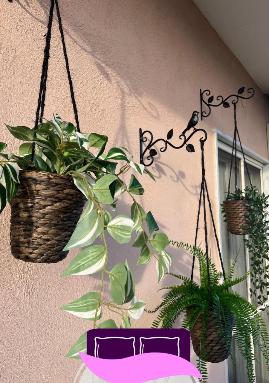 بومبيي B&B Anastasia المظهر الخارجي الصورة